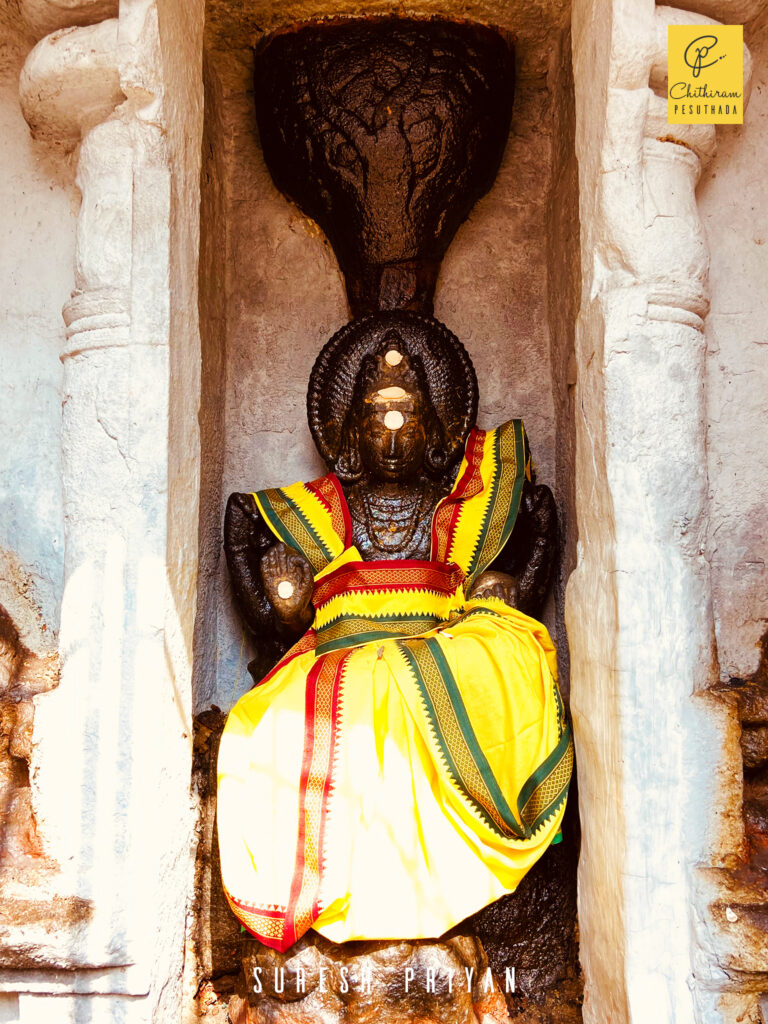 Dakshinamurthy, Amirthakalasanathar Temple, Sakkottai