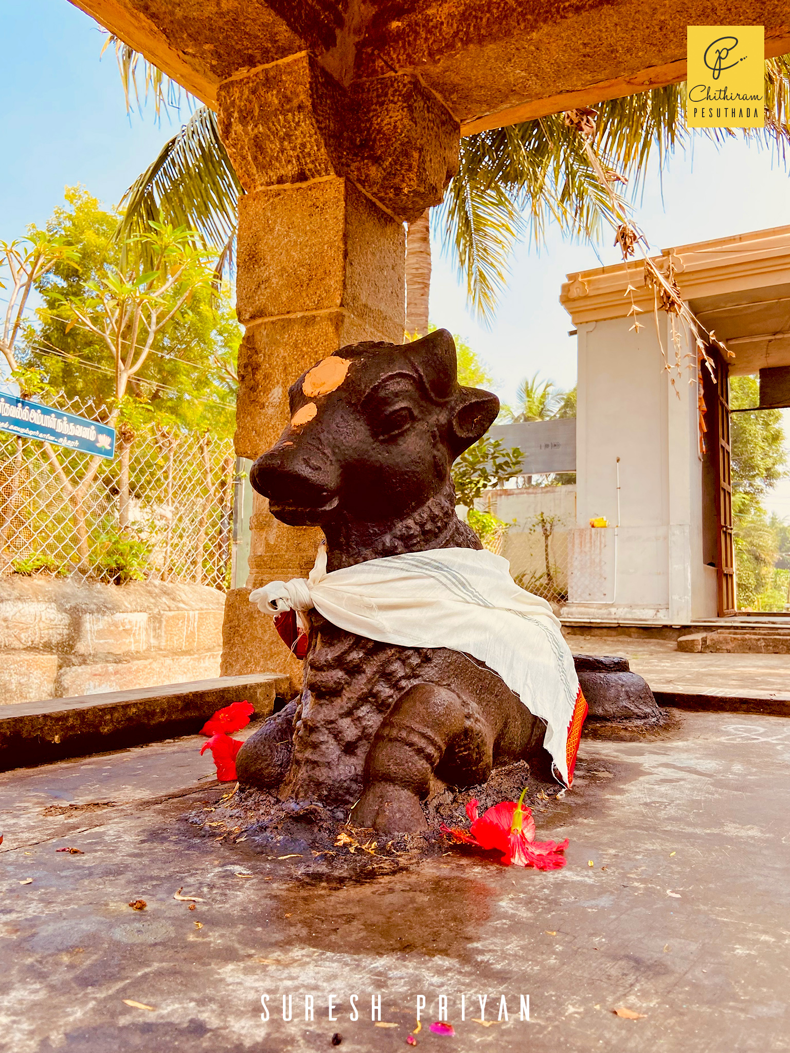 Amirthakalasanathar Temple, Sakkottai