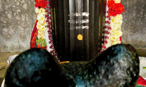 Beautiful Dharmadara Linga