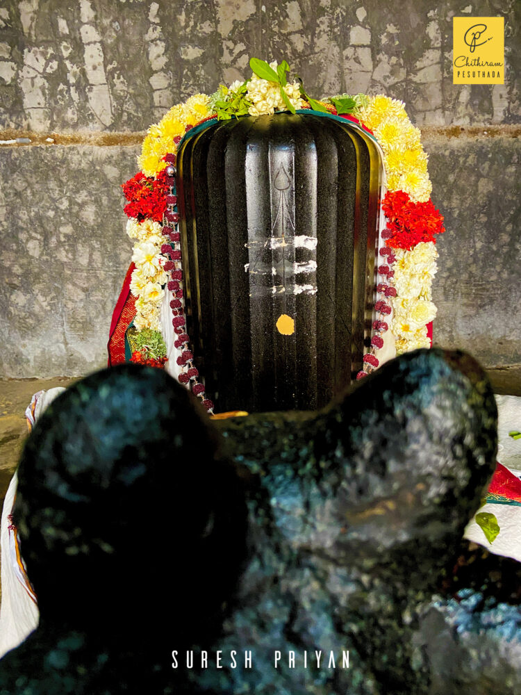 Beautiful Dharmadara Linga